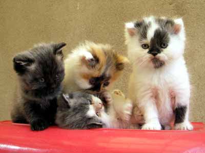 Leilababies 20.09.2006