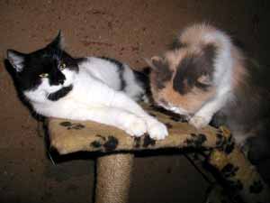 Snoopy mit Mama Leila