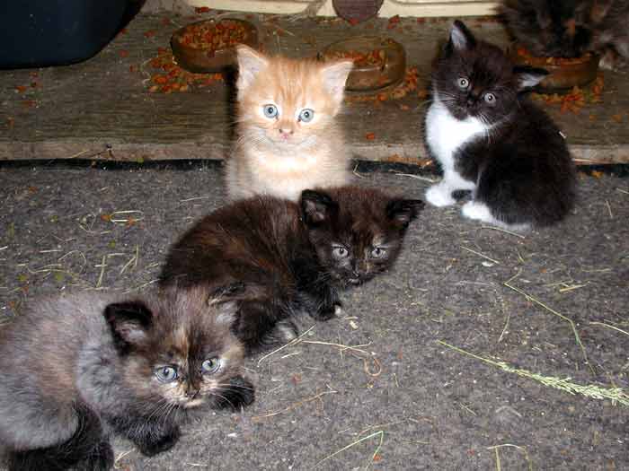 Leilababies 07.07.2005