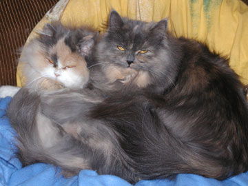 Mutter Leila und Tochter Minnie