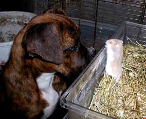 Was bist denn Du für einer???