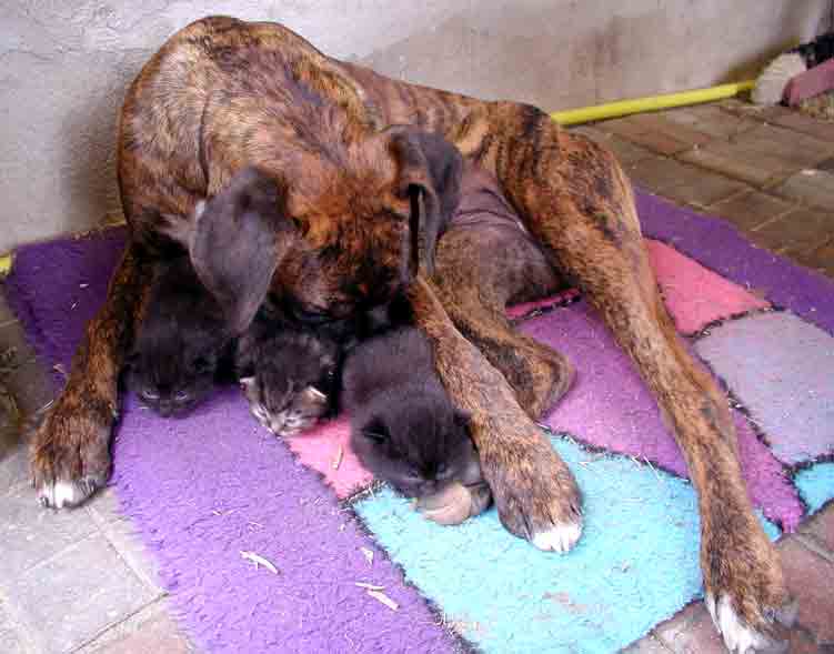 So als Mama schon ein tolles Gefühl :-)