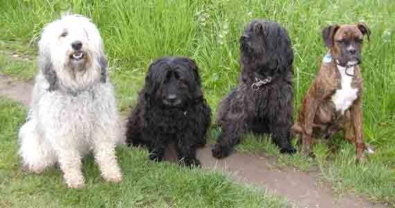 Die waren alle mal zu Besuch bei mir