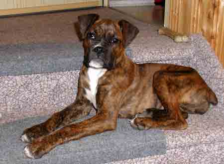 Und, wie liege ich so da ?!