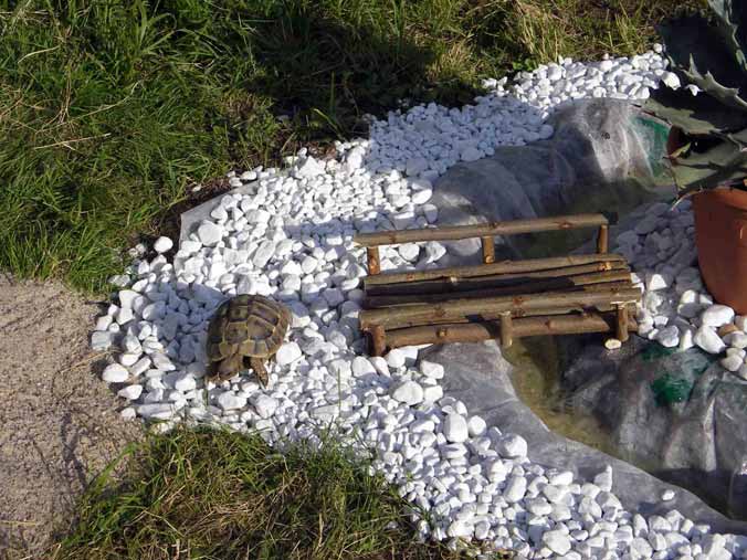 Detail Schildygehege